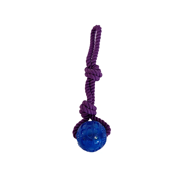 TPR Ball Rove Dog Fetch Toy